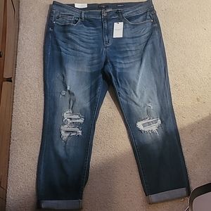 New with tags Judy Blue jeans